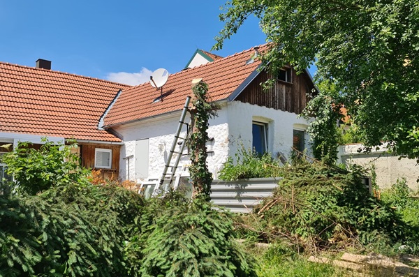 Baumentfernung Baumabtragungen Baumnotdienst Allessauber