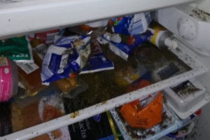 Messie Haushalt Kühlschrank Entrümpelung Reinigung Allessauber