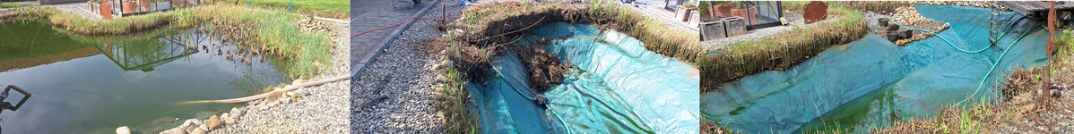 Teichwasser abpumpen, Schlamm entfernen & Folie reinigen Allessauber