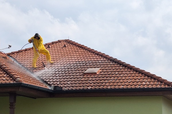 Dachreinigung Dachziegelreinigung Moos Flechte Algen entfernen mit Heisswasser Hochdruckreiniger durch Industriekletterer