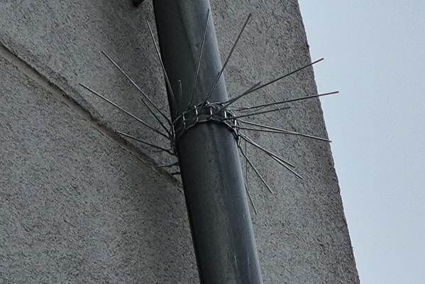 Marderabwehrgürtel Mardergürtel Marderspikes Fallrohrgürtel Marder Abschreckung Marderschutz Stopp