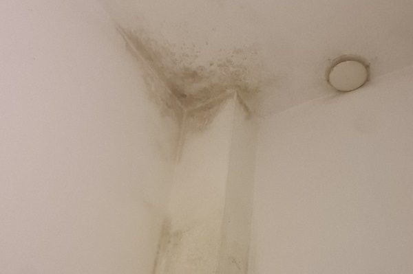 Schimmel im Badezimmer entfernen Allessauber Schimmel im Badezimmer entfernen