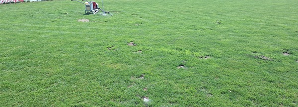 Wühlmausbekämpfung Sportplatz Niederösterreich Allessauber Wühlmausbekämpfung Sportplatz Niederösterreich