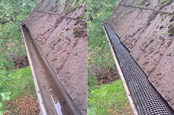 Dachrinnenreinigung Laubgitter Montage