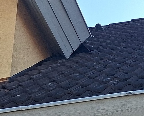 Marder im Haus Ursache Schädlingsbekämpfung Kammerjäger