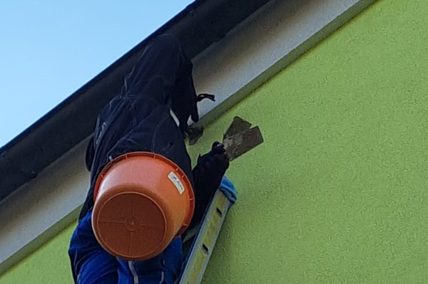 Spechtloch Buntspecht an der Fassade verschliessen Niederösterreich Spechtloch Buntspecht an der Fassade verschliessen Niederösterreich