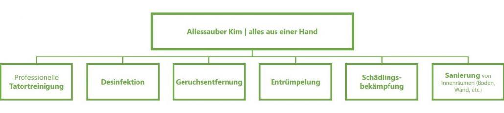 Allessauber Tatortreinigung Reinigung Todesfälle Leichen Desinfektion Geruchsentfernung Entrümpelung Schädlingsbekämpfung Sanierung Tatortreiniger