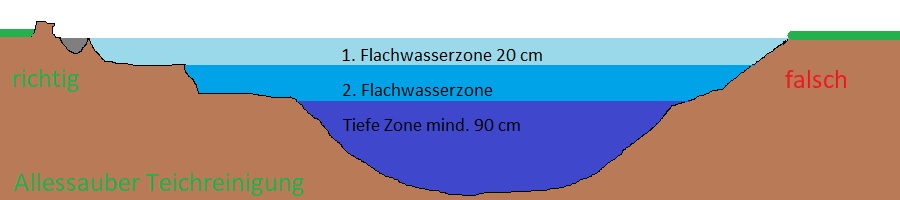 Allessauber Teichzone Wasserzone