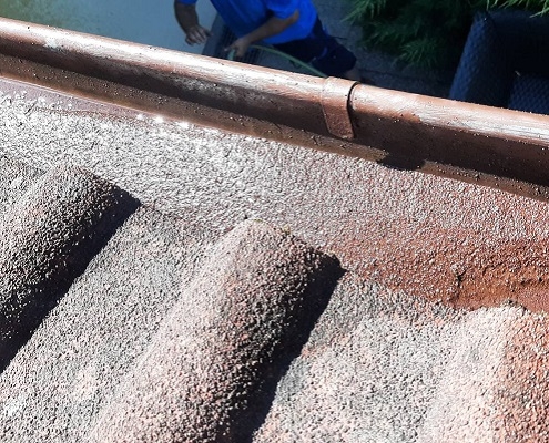 Dachrinnenreinigung Dachrinne reinigen NÖ Reinigungsfirma Gebäudereinigung Allessauber Kim