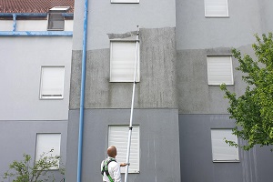 Fassadenreinigung Kosten Algenentfernung Algen Fassade reinigen Schimmelpilze Moos Pilz Flechten Hauswand Allessauber