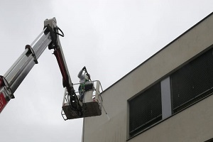 Fassadenreinigung gerüstlos Algenentfernung Algen Schimmel Pilz Flechte entfernen Allessauber