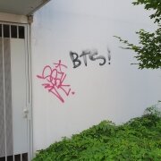 Graffitientfernung Graffti entfernen Wien 1200 Garage Allessauber Kim GmbH