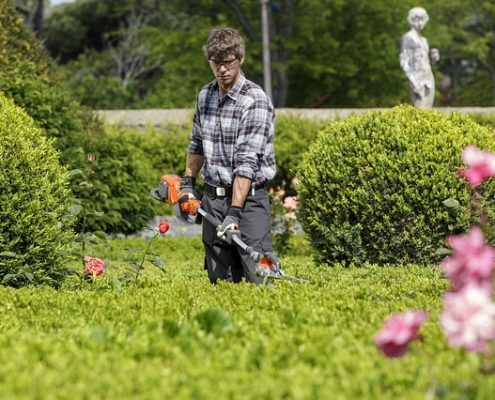 Grünflächenbetreuung Gartenservice Rasen mähen Rasenpflege Vertikutieren Rasen lüften Sähen Hecken schneiden