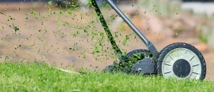 Grünflächenbetreuung Gartenservice Rasen mähen Rasenpflege Vertikutieren Rasen lüften Sähen Hecken schneiden Bewässern