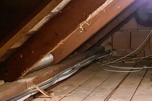 Holzwurmbekämpfung Hausbock Dachstuhl bekaempfen Holzwurm Abwehr Schaedlingsbekaempfung Kammerjaeger Allessauber