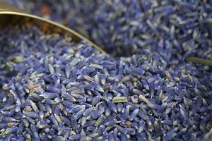 Lavendel mögen Silberfische nicht Kammerjäger Allessauber