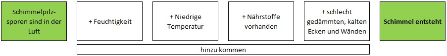 Schimmelpilzsporen Schimmel Feuchtigkeit Temperatur Nährstoffe Wände