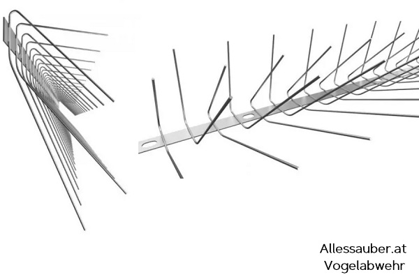 Schwalbenspikess Volgelspikes Allessauber