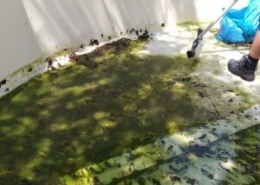 Schwimmbadreinigung rund Folie Algen Kalk Allessauber