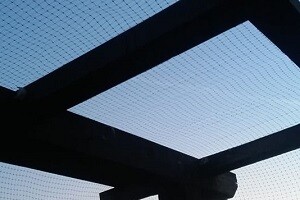 Taubenabwehr Netz Terrasse Balkon Allessauber Kim Schädlingsbekämpfung
