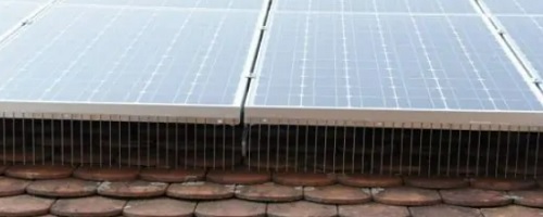 Taubenabwehrsystem Taubenabwehr Solar Photovoltaik Spikes