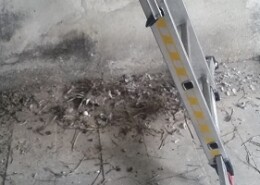 Taubenkot entfernen Allessauber Kim Gebäudereinigung Reinigungsfirma