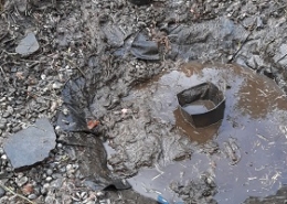 Teichreinigung Naturteich Teich reinigen Schwammentfernung entsorgen Faulschlamm Folie abdichten Allessauber