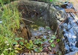 Teichreinigung Teich reinigen Schwamm absaugen Schlammentfernung Folie abdichten Allessauber