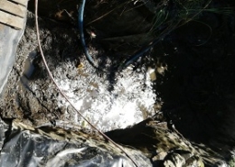 Teichreinigung Teich reinigen Schwamm absaugen entfernen entsorgen Folie abdichten Allessauber
